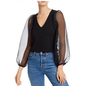 Aqua Vneck Black Blouse w/ Organza Sleeves